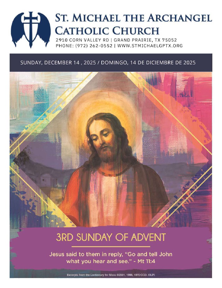 【SAINTMICHAEL】6PANEL LACERATING SAINTMICHAEL】6PANEL LACERATING St. Michael (no border) Embroidery